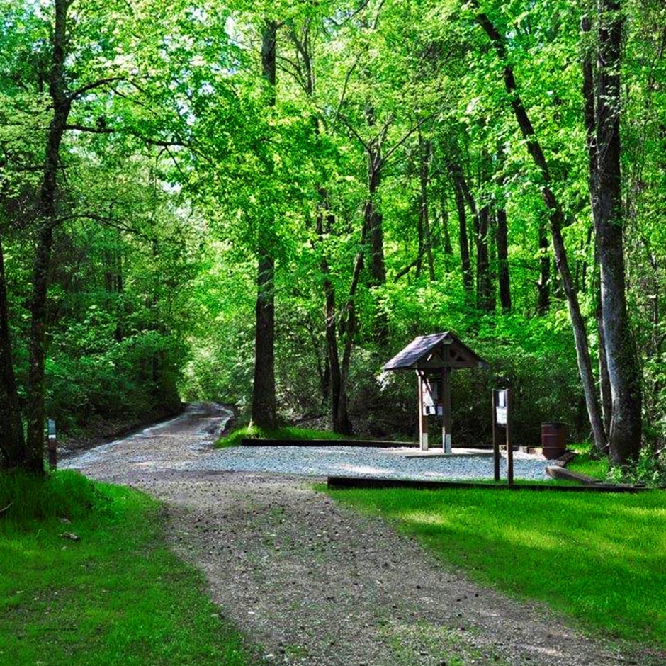 Forest trail with wooden information kiosk